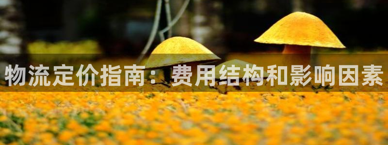 28圈.ccmpc29官网版