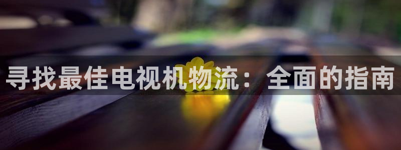 28圈app怎么注册账号：寻找最佳电