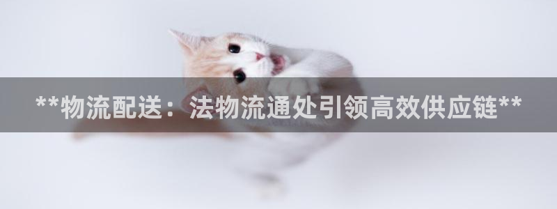28圈预测加拿大