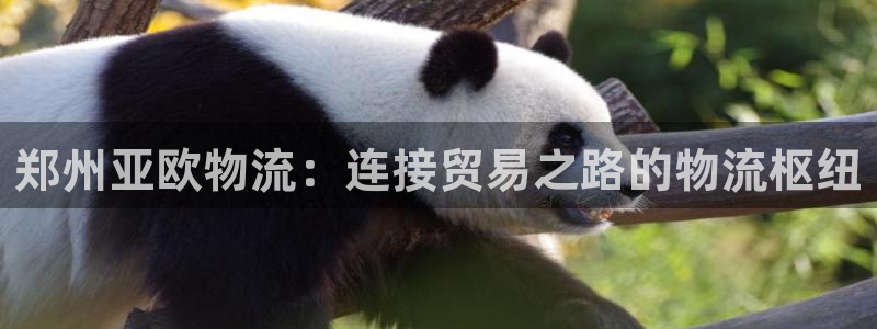 28圈充值不到账什么原因