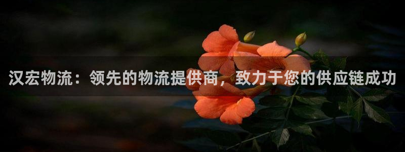 28圈加拿大走势