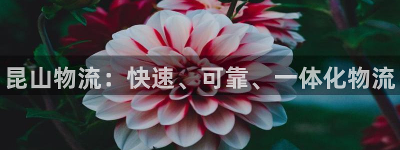 28圈.ccm
