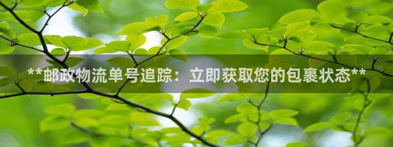 28圈软件总是闪退怎么回事