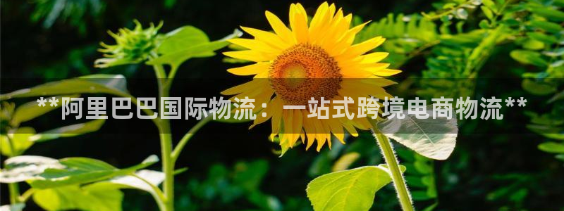 28圈软件有什么用