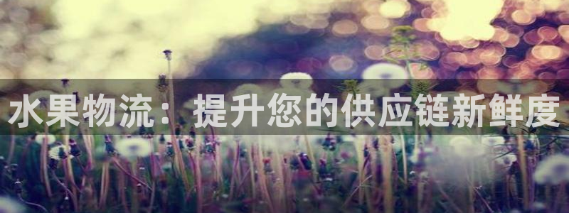 28圈是什么是赌博吗?