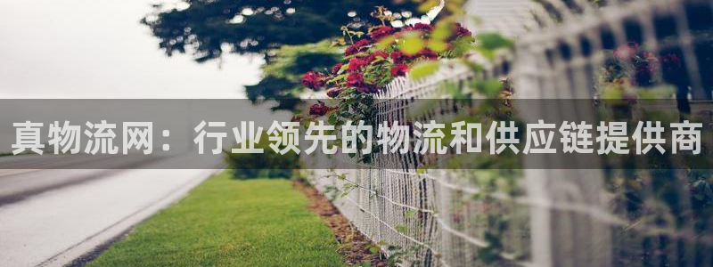 28圈下载体育