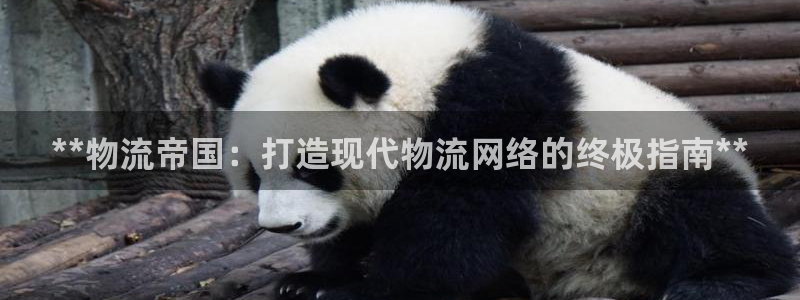 28圈旗下