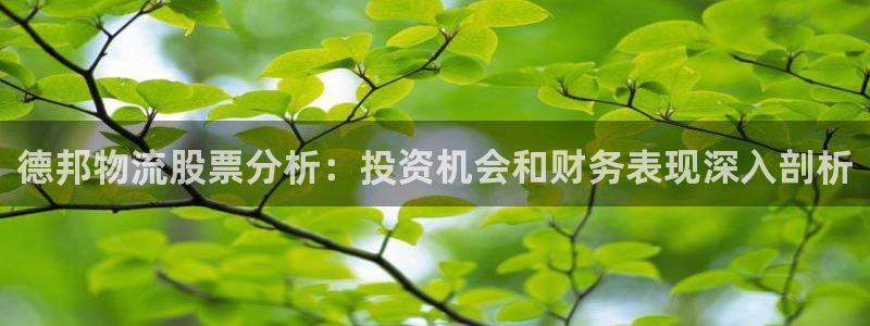 28圈黑不黑：德邦物流股票分析：投资