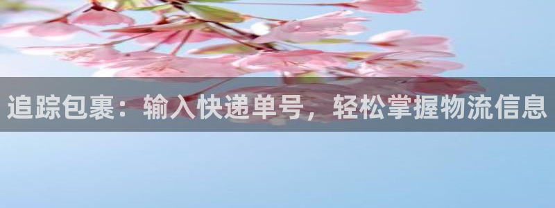 28圈.ccmo：追踪包裹：输入快递