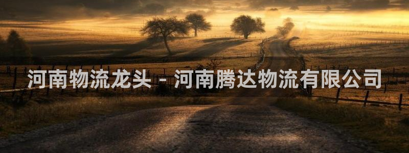 28圈注册网站链接是什么:河南物流龙