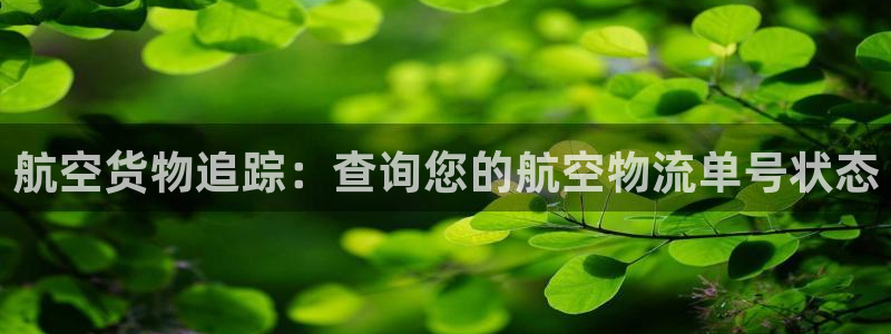28圈电子：航空货物追踪：查询您的航