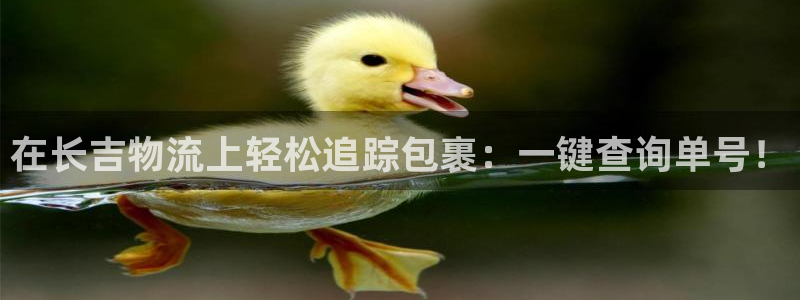 28圈注册教程:在长吉物流上轻松追踪