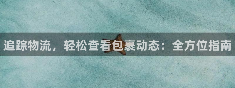 28圈登录流程:追踪物流,轻松查看包