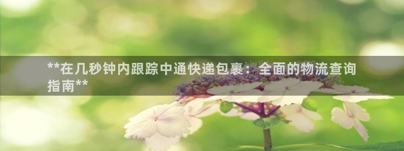 28圈怎么申请代理：**在几秒钟内跟