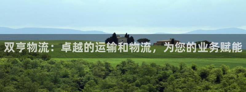 28圈app注册地址:双亨物流:卓越