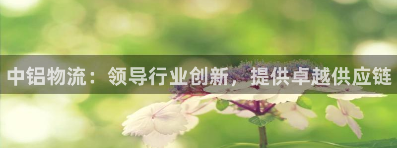 28圈登录不上咋回事：中铝物流：领导行业创新，提供卓越供应链