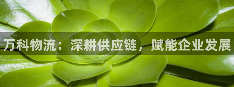 自行车28圈是什么意思：万科物流：深