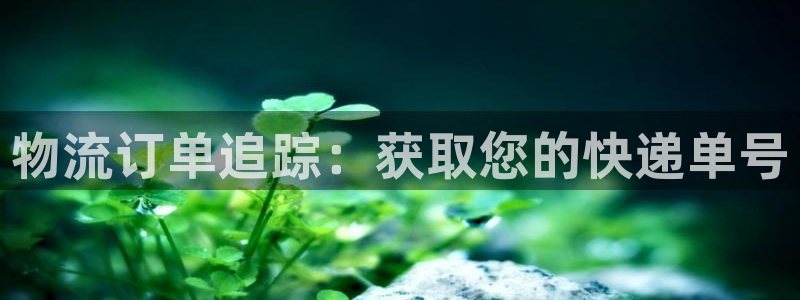 28圈如何看012路计划：物流订单追踪：获取您的快递单号