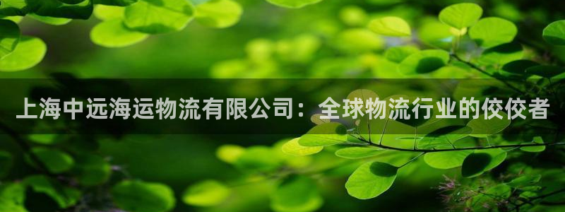 28圈PG电子游戏：上海中远海运物流