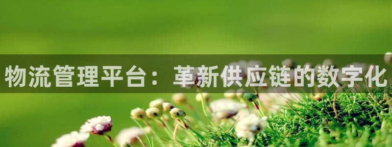 28圈游戏链接：物流管理平台：革新供