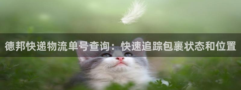 28圈圈助手：德邦快递物流单号查询：快速追踪包裹状态和位置