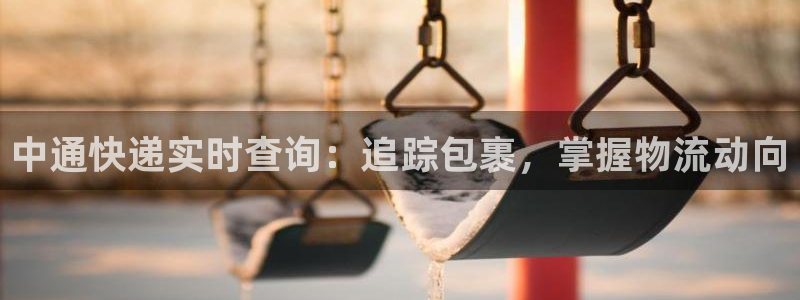 28圈反水什么时候到：中通快递实时查