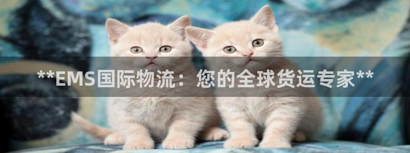 28圈分分压单双技巧