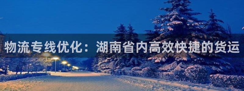 28圈取保：物流专线优化：湖南省内高