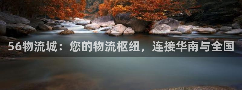 28圈.ccm正版
