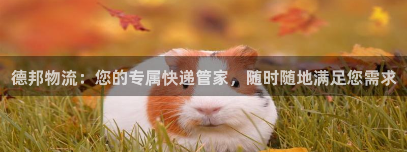 28圈初始密码在哪里修改