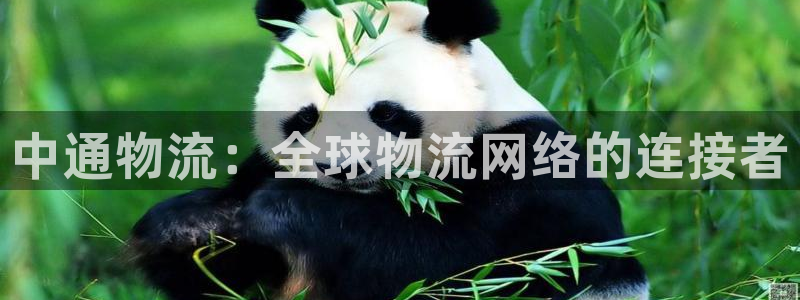 28圈注册网站链接