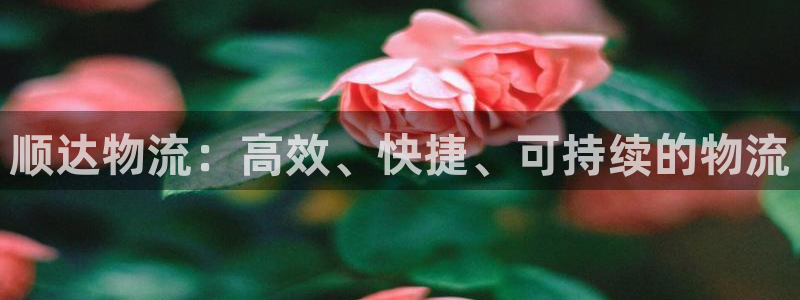 28圈模拟