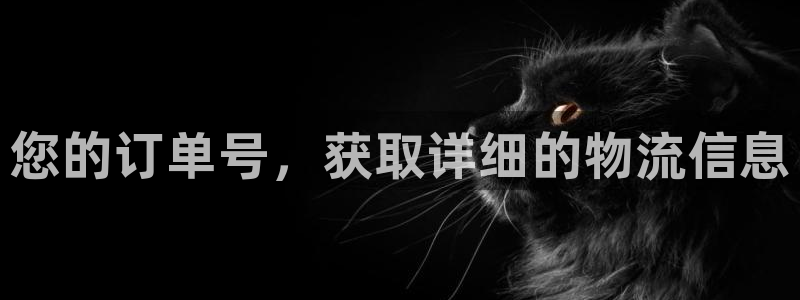 28圈官方官网：您的订单号，获取详细