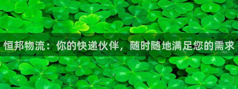 28圈的自行车：恒邦物流：你的快递伙