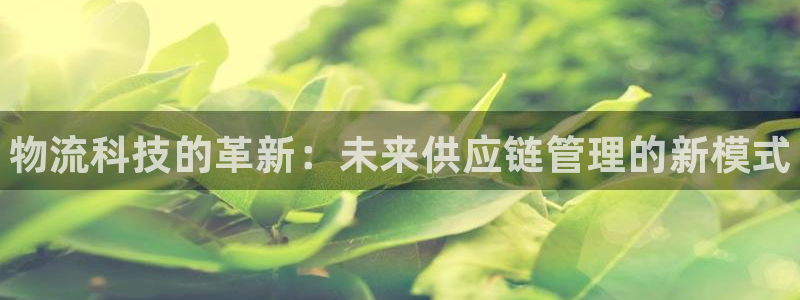 28圈龙虎：物流科技的革新：未来供应