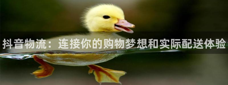 28圈黑不黑：抖音物流：连接你的购物