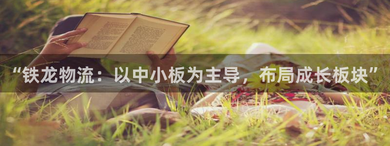 28圈退款:“铁龙物流:以中小板为主