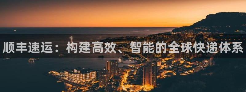 28圈取保：顺丰速运：构建高效、智能