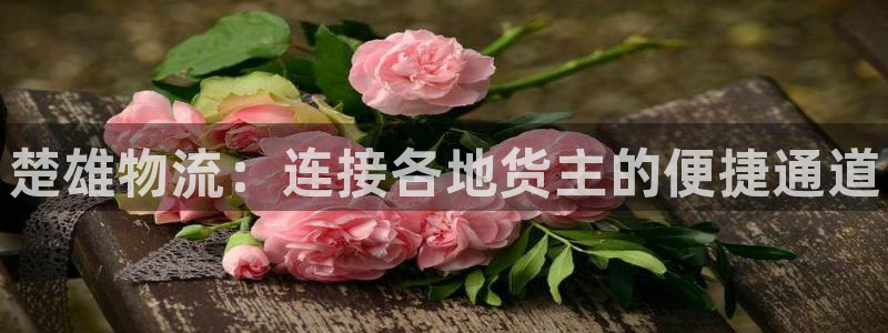 28圈麻将胡了在线试玩：楚雄物流：连