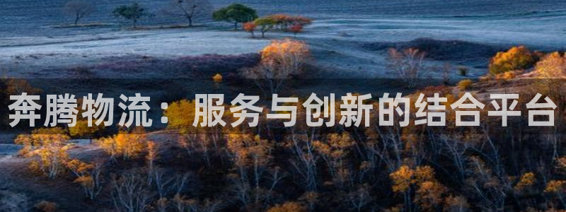28圈注册登录：奔腾物流：服务与创新
