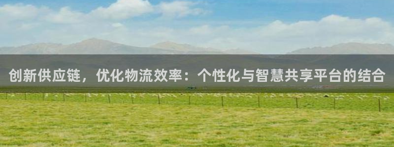 28圈怎么下载不了：创新供应链，优化