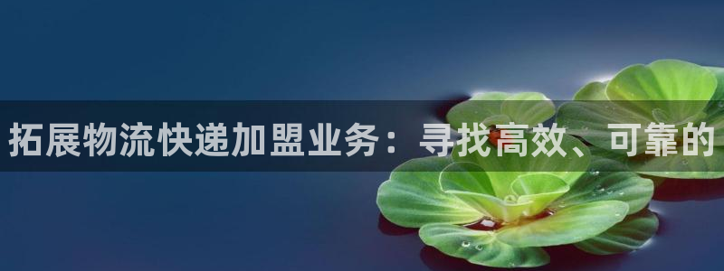 28圈官网注册：拓展物流快递加盟业务：寻找高效、可靠的