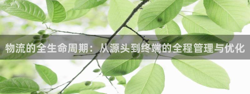 28圈代理落网:物流的全生命周期:从