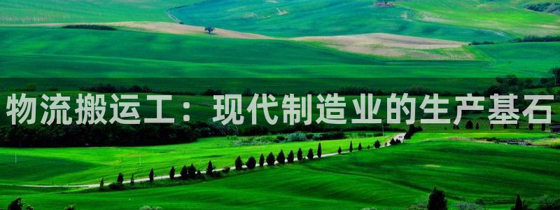 28圈怎么下载教程：物流搬运工：现代