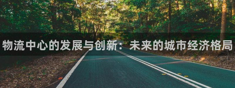28圈注册号：物流中心的发展与创新：