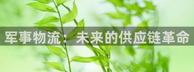 28圈是什么软件：军事物流：未来的供