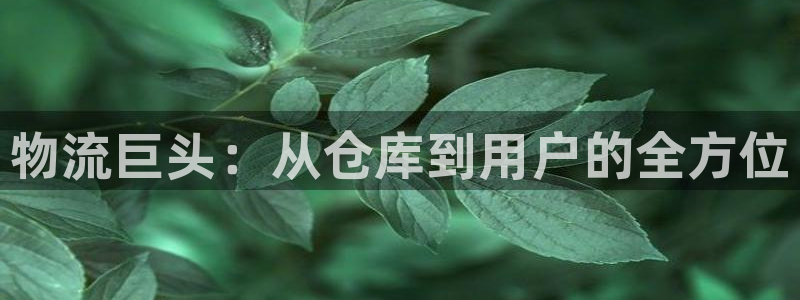 28圈技巧:物流巨头:从仓库到用户的