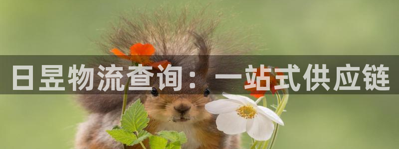 28圈推广链接是多少钱一个：日昱物流