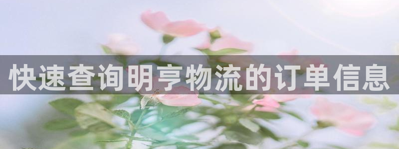 28圈退款:快速查询明亨物流的订单信