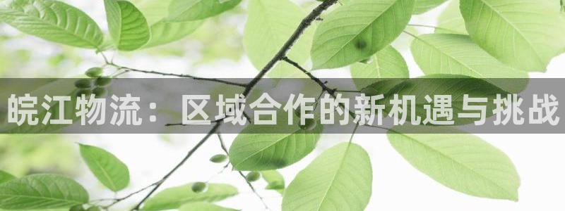 28圈app官网少林足球:皖江物流: